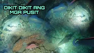 Thumbnail: BIG size Pogita at mga Pusit Lumot Ang nahuli ko
