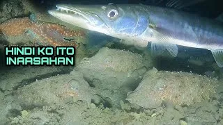 Thumbnail: Hindi ko ito Inaasahan na Huli Giant Pogita Barracuda at Buko-buko😱🐠