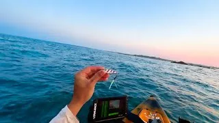 Thumbnail: TINY SLOW PITCH JIG CATCHES EVERYTHING! Was looking for scup for dinner, but.......