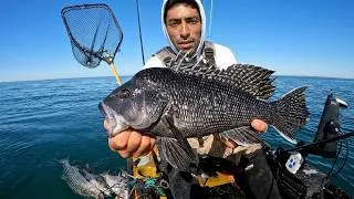 Thumbnail: Slow Pitch Jigging for a Limit of Black Sea Bass!! Buzzards Bay 2026.