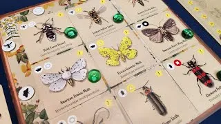 Thumbnail: Learn & Play - Insectarium (Snowbright Studio)