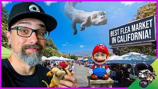 Thumbnail: I Found the WILDEST Stuff at a California Flea Market‼️