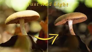 Thumbnail: Everything is Better with Light! - Neewer ML01 Macro Light