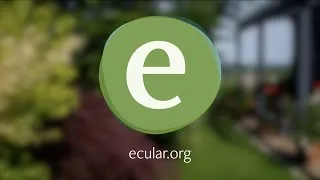 Thumbnail: 🌱 Ecular – Plattform für nachhaltige Produktzyklen – Ö1 Reparatur der Zukunft