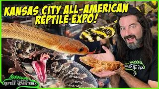 Thumbnail: What REPTILES still blow me away after all this time?