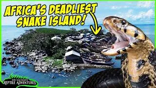 Thumbnail: Touring Africa's Deadliest Snake Island! Giant Forest Cobras live in harmony with people!