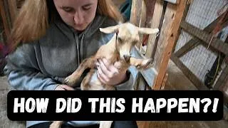 Thumbnail: I CUT Her BY Mistake!