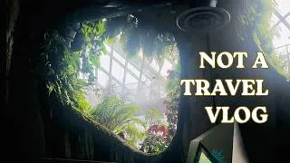Thumbnail: Maybe I am not meant to be a travel vlogger