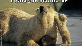 Thumbnail: Funny Animals