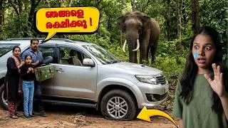 Thumbnail: മസനഗുഡിക്ക് പോകുന്നവഴി ഞങ്ങളുടെ വണ്ടി കാട്ടിൽ വച്ച് പഞ്ചറായ് !