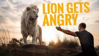 Thumbnail: Lion Facts with Challengers - Dean Schneider