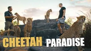 Thumbnail: The Cheetah Blueprint! - Dean Schneider