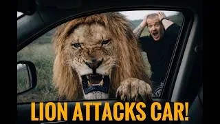 Thumbnail: Lion Attack during filming of a Fact video! - Dean Schneider