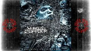 Thumbnail: Morgue Supplier (USA) - Mastering the Disease (Album 2026)