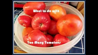 Thumbnail: Too Many Tomatoes -- How to Freeze For Canning Later