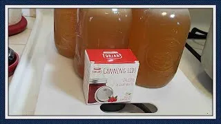 Thumbnail: Product Review:  ForJars Canning Lids