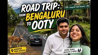Thumbnail: Bengaluru to Ooty Road Trip | Bandipur, Mudumalai & Our Luxury Hotel | Part 1