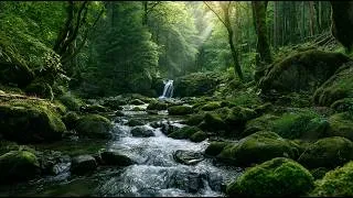 Thumbnail: Leave Stress Behind 🌿 Relaxing Forest River Sounds & Birdsong