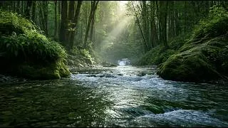 Thumbnail: Step Away from the Noise 🌿 Peaceful River Sounds & Forest Birdsong