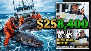 Thumbnail: How the $258,400 Giant Eel Ocean Fishing Journey of American Fishermen Really Happens | Deep Sea
