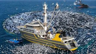 Thumbnail: A Massive Salmon Haul | Hundreds of Tons of Salmon Caught at Sea