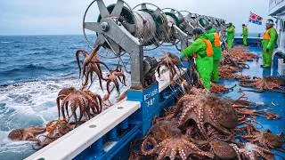 Thumbnail: How Japanese Fishermen Catch 1 MILLION Octopuses at Once — Inside a $1 Billion Seafood Industry