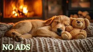 Thumbnail: 10 Hours of Dog Calming Music for Dogs 🐶🎵Anti-Separation Anxiety Relief 🐶💖Sleep dog Healing🎵No Ads