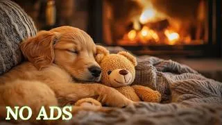 Thumbnail: 10 Hours of Relaxing Music for Dogs 🐶💖 Play This Music for Your Dog🐶🎵 Instant Calm & Deep Sleep