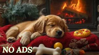 Thumbnail: 10 Hours of Deep Sleep Music for Dogs🐶💖Calming Sounds for Anxious Dogs | Sleep Aid for Dogs💖No Ads