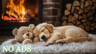 Thumbnail: 12 Hours of Healing Dog Music 🐶💖 Soothing Music for Deep Relaxation🎵💖For Dogs Home Alone💖No Ads