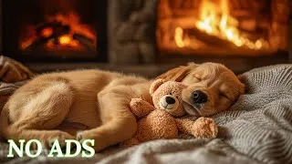 Thumbnail: 10 Hours of Calming Music for Dogs 🐶💖 Anti-Separation Anxiety Relief Music 🎵🐶 Deep Sleep Music