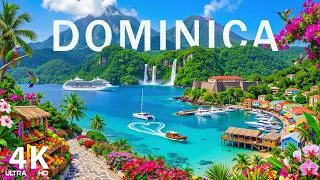 Thumbnail: Dominican Republic 🇩🇴 4K Drone Footage | Turquoise Beaches, Palm Coast & Caribbean Paradise