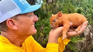 Thumbnail: Unexpected Piglet Rescue!