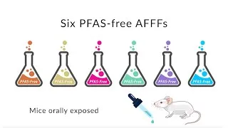 Thumbnail: ER20-1508: Assessing the Ecotoxicity of PFAS-Free Firefighting Formulations in Mice [Spanish Audio]