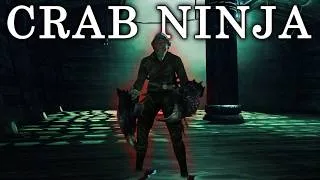 Thumbnail: The Shadow Knight Build in Dark Souls 2 is One of a Kind!