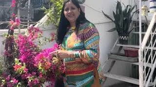 Thumbnail: “Garden Vlog 🌸 | Summer Plant Care Tips | गर्मियों में पौधों की देखभाल कैसे करें”#gardeningtips 