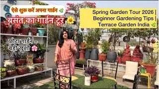 Thumbnail: बसंत में गार्डन शुरू करें 🌼Beginner Garden Tourथोड़ी मिट्टी, ढेर सारा प्यार 🌿#terracegarden #delhi 