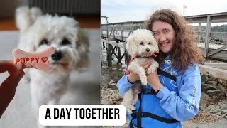 Thumbnail: a summer day reconnecting with my dog :)