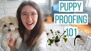 Thumbnail: Can you spot these 10 puppy hazards? | How to Puppy Proof Any Space!