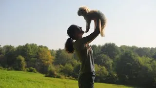 Thumbnail: when owning a dog becomes mundane (a short film)