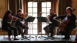 Thumbnail: Mozart: Quartet in D major, K. 575 2nd movement: Andante (Delray String Quartet)