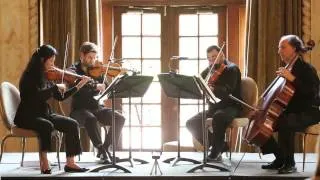 Thumbnail: Mozart: Quartet in D major, K. 575 1st movement: Allegretto (Delray String Quartet)