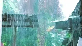 Thumbnail: Rainy Afternoon Ambience 🌦️ Peaceful Rain Sounds for Relaxation, Focus, Reading & Cozy Moments