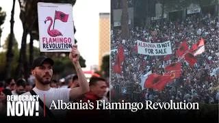 Thumbnail: Albania's Flamingo Revolution: Protests Against Kushner-Trump Luxury Resort Could Bring Down Gov't