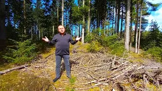 Thumbnail: "Dust In The Wind" performed by Dennis Tschirner