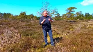 Thumbnail: "You Got It" performed by Dennis Tschirner