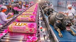 Thumbnail: Inside an Old Soap Factory 🧼 | Traditional Beauty Soap Making Process