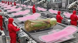 Thumbnail: How Banana Plant Waste Is Turned Into Sanitary Pads | Eco-Friendly Factory Process