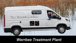 Thumbnail: Orange  Bellied Parrot Werribee Treatment  plant