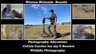 Thumbnail: Photography Adventure: Cotton Carrier Test
